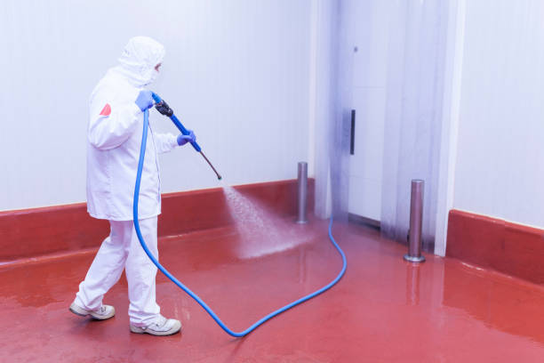 Reliable Mcgehee, AR Pressure Washing Services Solutions